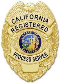 Process Server Badge